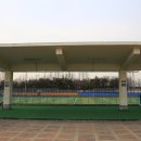 축구장 본부석 이미지