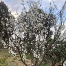 아름다운민박 이미지