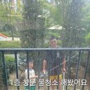 해미-호스릴-1 | 쿠팡 내돈내산 타카기 나노 넥스트 호스릴 10m 후기｜1층 창문 물청소 해봤어요 ⭐️