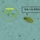 나투어존 퓨어앤라이프