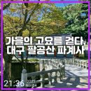 산중농원 | 가을의 고요를 걷다, 대구 팔공산 파계사