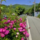 송금녹색농촌휴양마을 이미지