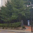 삼성타워 옆 이미지