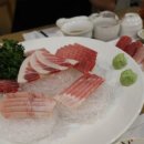 참치배