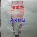 삼성수원OK한의원 이미지