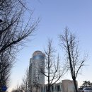 올림픽파크텔뒤 | 올림픽공원 옆 조용한 숙소 서울 올림픽파크텔 1박 후기