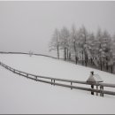 양떼목장 이미지