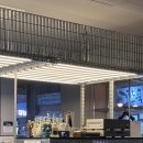 1378 | [안양/댕리단길 맛집] 안양 댕리단길 내돈내산 맛집 오프닛 - 생면 파스타 • 미나리 새우전 🍝🍤🦐