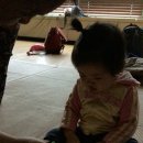 (주)노리틀 네이버블로그