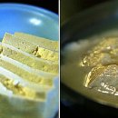 순두부와 청국장 티스토리