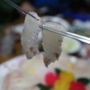 성산포자연산회센타