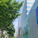 일본 부동산 시스템 이야기(ft.에도코님 청담동 두번째 만남)