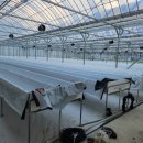 사례농장 이미지