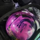 퍼플라이노 이미지