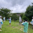 아현초교 | 우리들 자연학교 7월 17일 아현초등학교 여름체험 후기