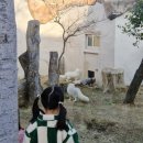 순천만국가정원 동문안내소 | 순천만국가정원 어린이동물원｜아이와 함께 순천 가볼만한 곳