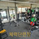 하이닉스주짓수