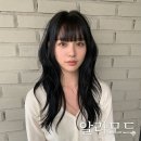 2026 여자 헤어스타일 트렌드 어떤 게 유행일까?