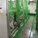 중일고등학교 버스정류장 이미지