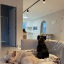 강화남부농업협동조합 양도지점 이미지