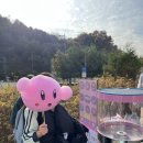 클라라피아노교습소 - 계룡시 번영9길 16 | 클라라피아노교습소