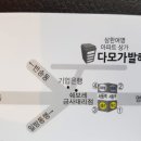 다모가발헤어