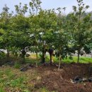 김기수 농장 이미지