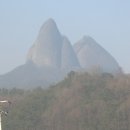 이진규농장 이미지