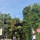 서민갈비 | 서민갈비 솔직후기 – 돼지갈비 맛은 고급, 가격은 서민..?