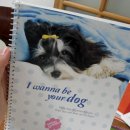 유얼도그 이미지