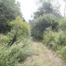 용담2리 이미지