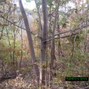 재활운동 답사산행.172(폭염에 폭망?) 이미지