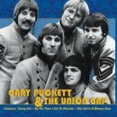 WOMAN,WOMAN / GARY PUCKETT & THE UNION GAP 이미지