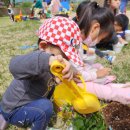 녹지어린이집 이미지