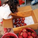 풀잎농장 이미지