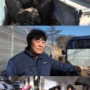 흑염소목장 이미지