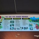 경산동의한방촌 한의원 네이버블로그
