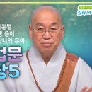 [2025 백일법문] 백일법문 즉문즉설 풀영상5 이미지