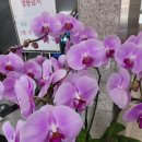 세무회계남천 - 5742 | 세무회계남천