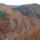 인제자연학교 캠핑장 이미지