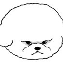 주가이헤어 - 남구 | 주가이헤어