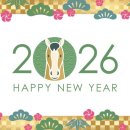 태극안경콘택트(법동점) 이미지