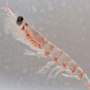 푸른솔약국 이미지