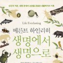 순환의 축복 이미지