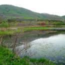 세종영재어린이집 이미지