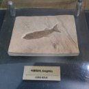 NR-38[서해로]-하-401 | 사빈의 아름다운 우리 강 (38) : 대청댐