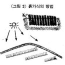 접목방법 이미지