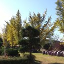 은행마을로 이미지