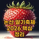 논산열쇠 - 논산시 중앙로260번길 59-3 | 2026 논산 딸기축제 후기 및 주차 시간 꿀팁 완벽 정리