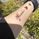 내포메디컬의원 이미지